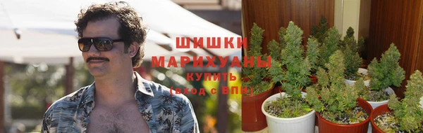spice Россошь