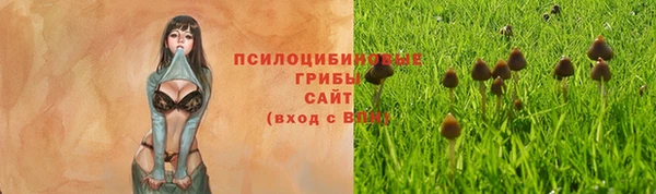 прущая мука Сафоново