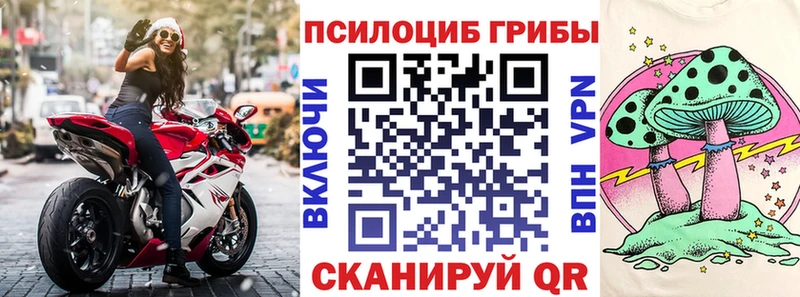 купить  сайты  Сокол  Псилоцибиновые грибы GOLDEN TEACHER 