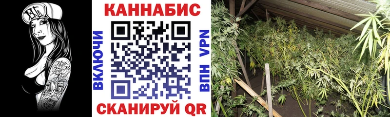 МЕГА маркетплейс Сокол Марихуана Ganja цены